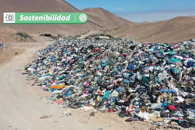 12960 reeecomerce.webp