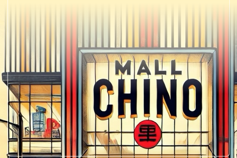 no dan boleta y ofrecen productos sin etiqueta  sernac doblega fiscalizaciones en malls chinos.png