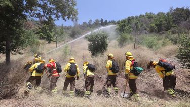 Construirán 3.700 km de cortafuegos en zonas de riesgo para prevenir incendios forestales