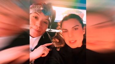 VIDEO| “Coloma acusete care’cuete”: Maite Orsini explica por qué llevó un gatito al Congreso