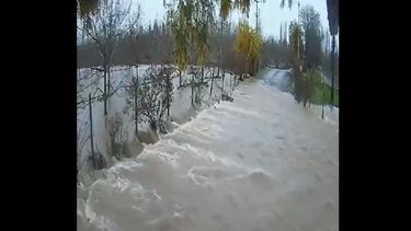 VIDEO| Ñuble: Registro evidencia impresionante desborde de río Perquilauquén