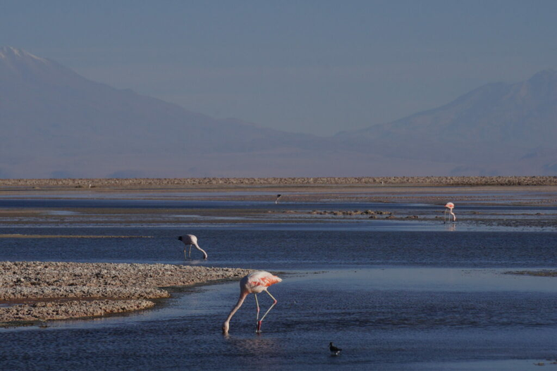 Salar de Atacama.