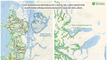 Salmoneras en Áreas Protegidas II: 76 centros volvieron a operar pese a que debieron ser caducados