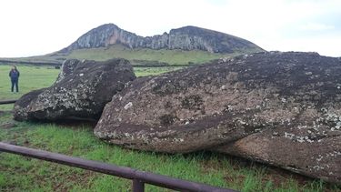 El Desconcierto | 7368 rapa nui neira.jpg