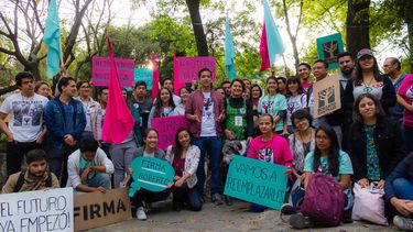 Wikipolítica, el no-partido que presenta 17 parlamentarios independientes a las elecciones legislativas de México