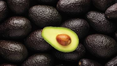 Duro artículo de The Guardian alerta sobre responsabilidad de productores de palta en sequía que afecta a Petorca