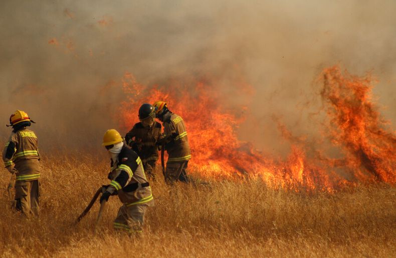 conaf pagara $120 millones a familia de bombero fallecido en incendio forestal de villarrica en 2019.jpeg