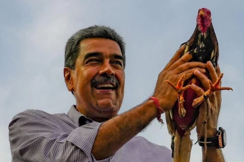 2292 maduro pollo.jpg