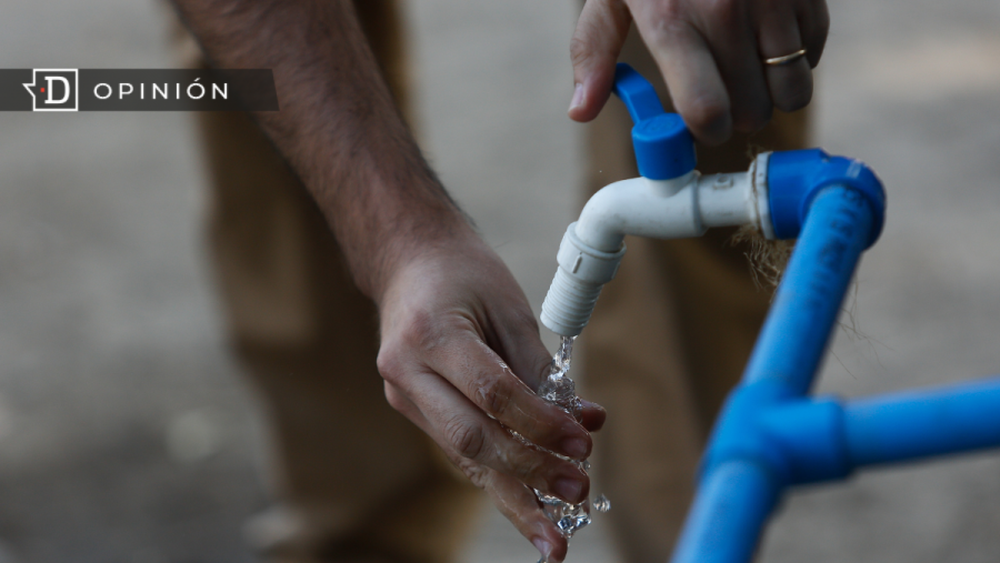 La agricultura y su rol central para enfrentar la crisis hídrica en Chile