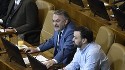 Pepe Auth: No voy a renunciar a la vicepresidencia de la Cámara