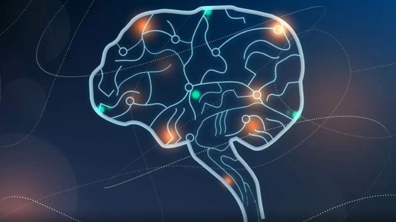 Memoria social nota.jpg