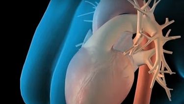 Las olas de frío y de calor elevan las muertes por problemas cardiovasculares