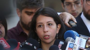 Diputada Gael Yeomans presentará proyecto de ley para reconocer el trabajo doméstico y de cuidados