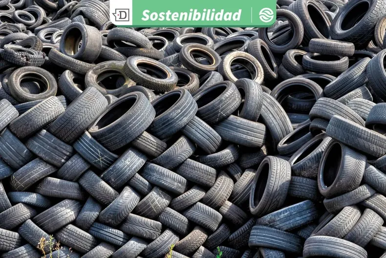 21575 diseno sin titulo 2025 08 28t171834.webp