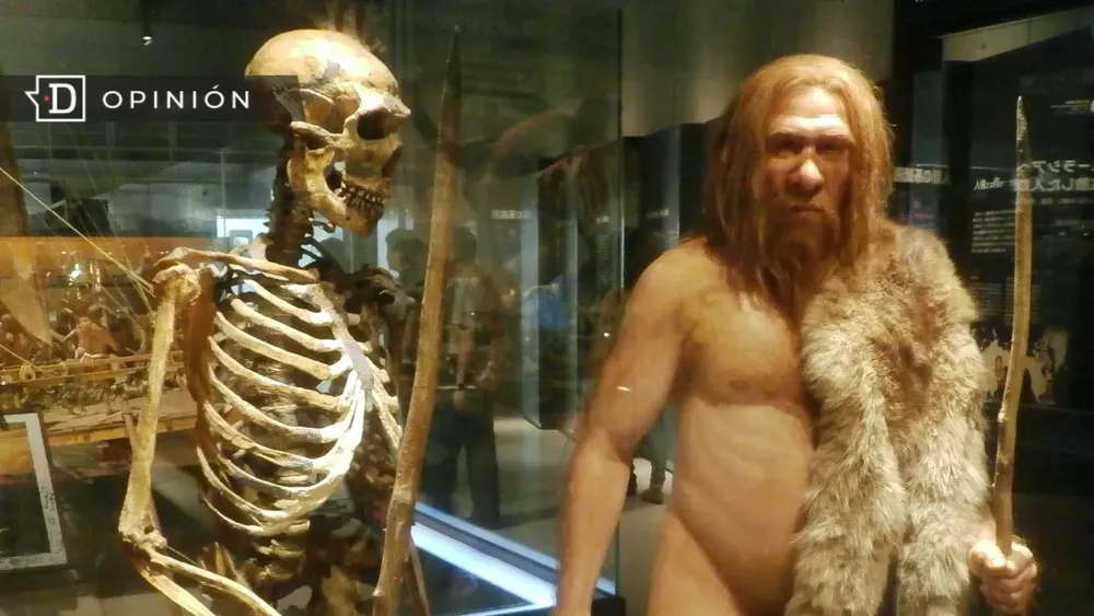 Desmontando el mito patriarcal del superhombre del Paleolítico