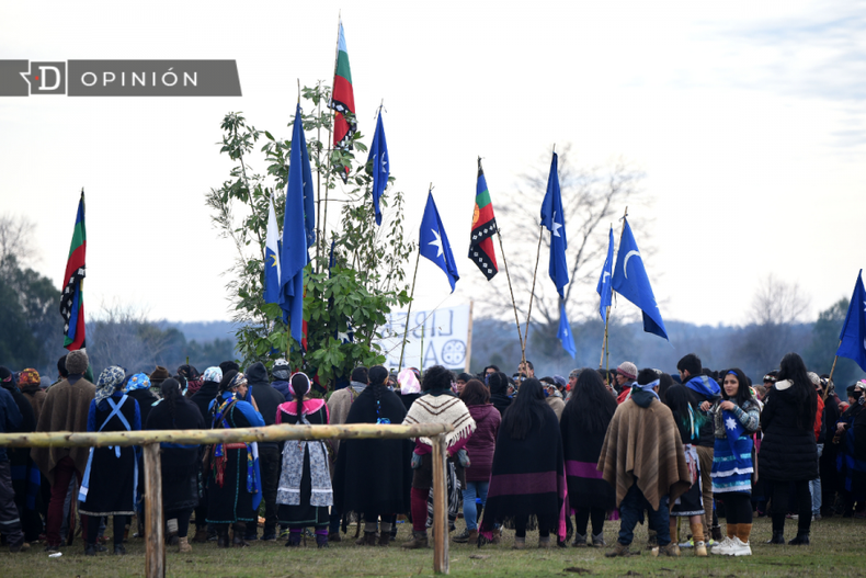 Pueblo Mapuche e1706542276770.png
