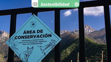 Fundación Tierra Austral gana premio internacional por aporte a conservación y Metas 30x30 del Marco Global de Biodiversidad