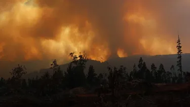 Incendios forestales: Todos los factores de inicio y propagación “están presentes este verano”
