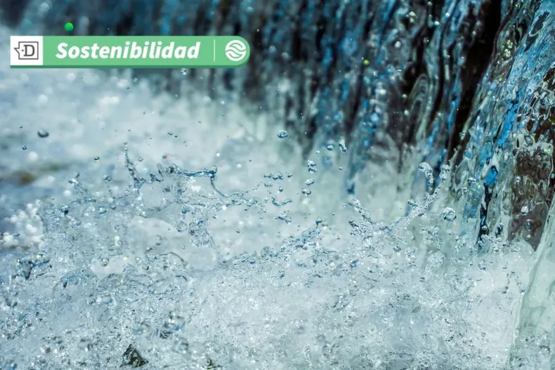 14694 diseno sin titulo 43.webp