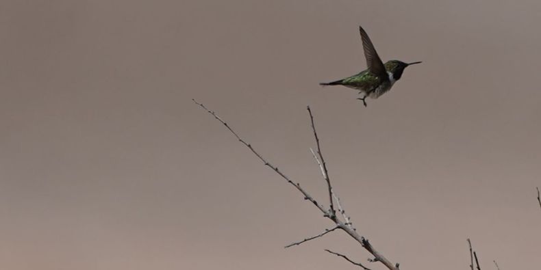 Diseño sin título (19)