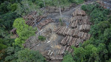 El Desconcierto | Deforestacion Amazonia Brasilena 3 1536x1024 1.jpg