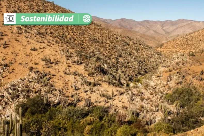 15715 diseno sin titulo 2025 05 14t112200.webp