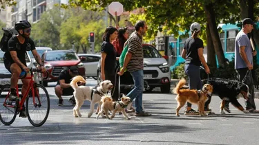 Revelador análisis del Chile actual: Eutanasia supera 80% de adhesión, catalogada como históricamente alta