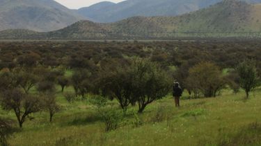Vida silvestre del Cordón Lo Aguirre en Pudahuel-Maipú es amenazada por proyectos energéticos y viales