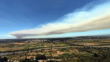 Alerta Roja en Melipilla por incendio forestal que ya consumió 5 casas: Este martes habrá sobre 35°C