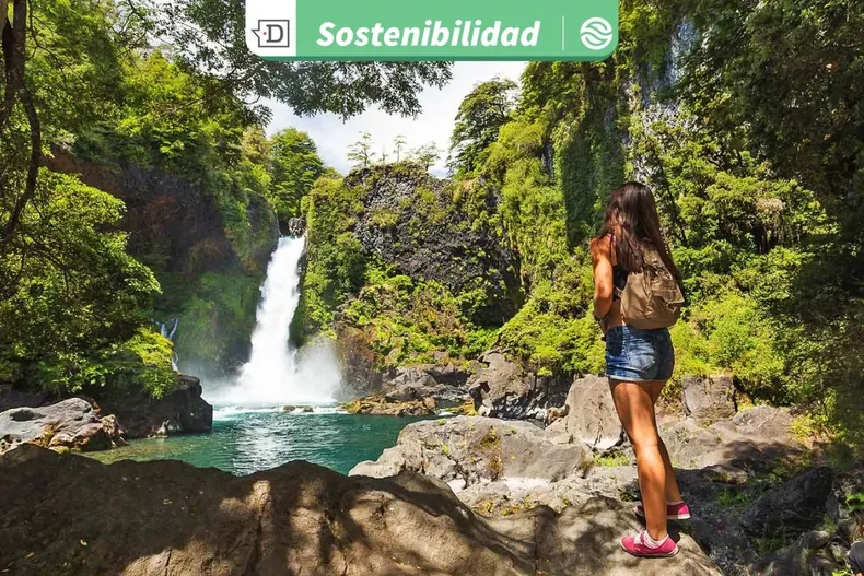 23179 diseno sin titulo 2025 09 26t103445.webp