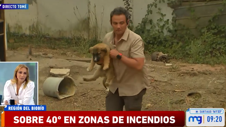 Captura de Pantalla 2023 02 03 a las 11.23.48.png
