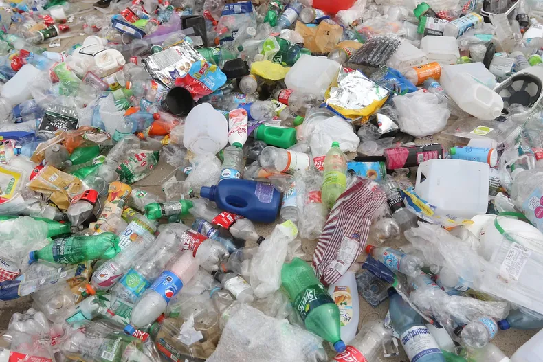 20463 plasticos.webp