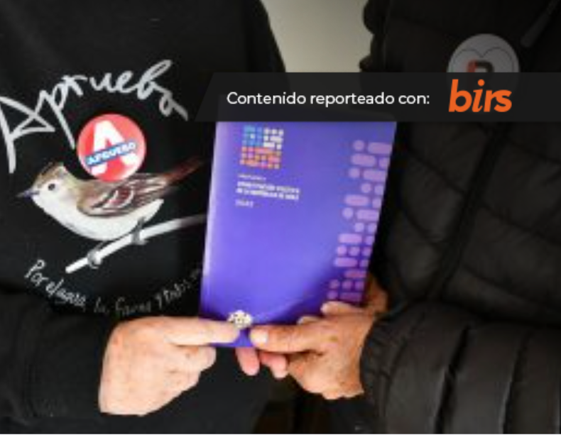 convencion constitucional.png