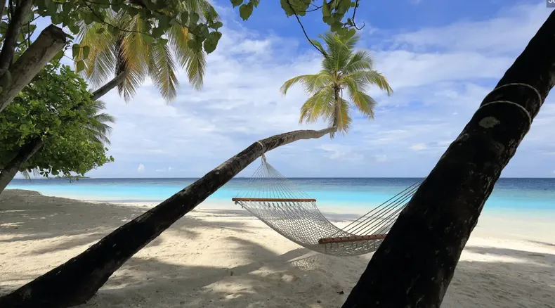12107 maldivias.webp
