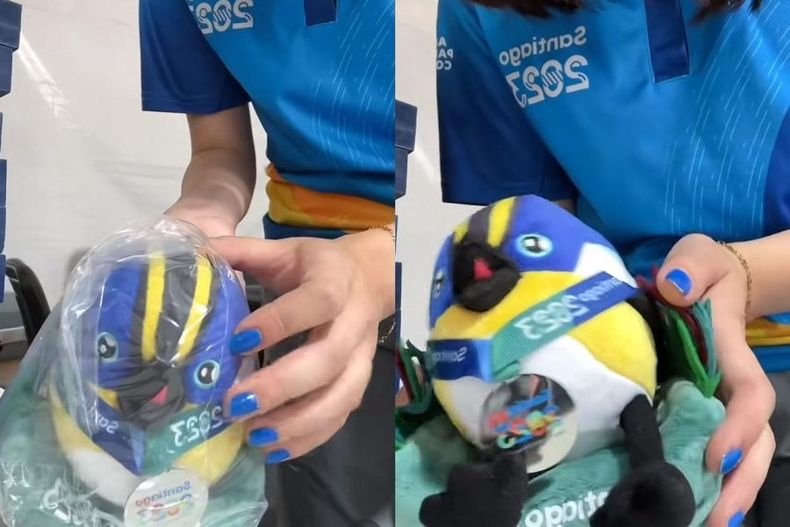 VIDEO Arreglate conmigo version Fiu Trabajadora prepara peluche para premiar a deportista e1701189049646.jpeg