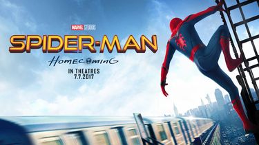 El Desconcierto | Spiderman.jpg