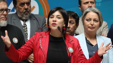 Oyarzo (PDG) asegura que en el mismo oficialismo le están dando la espalda a Karol Cariola