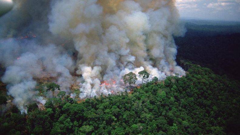 amazonia.jpg