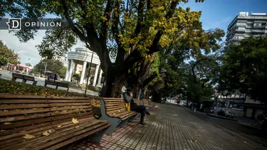 El Desconcierto | 15646 imagen de una persona sentada en una banca en una plaza.webp