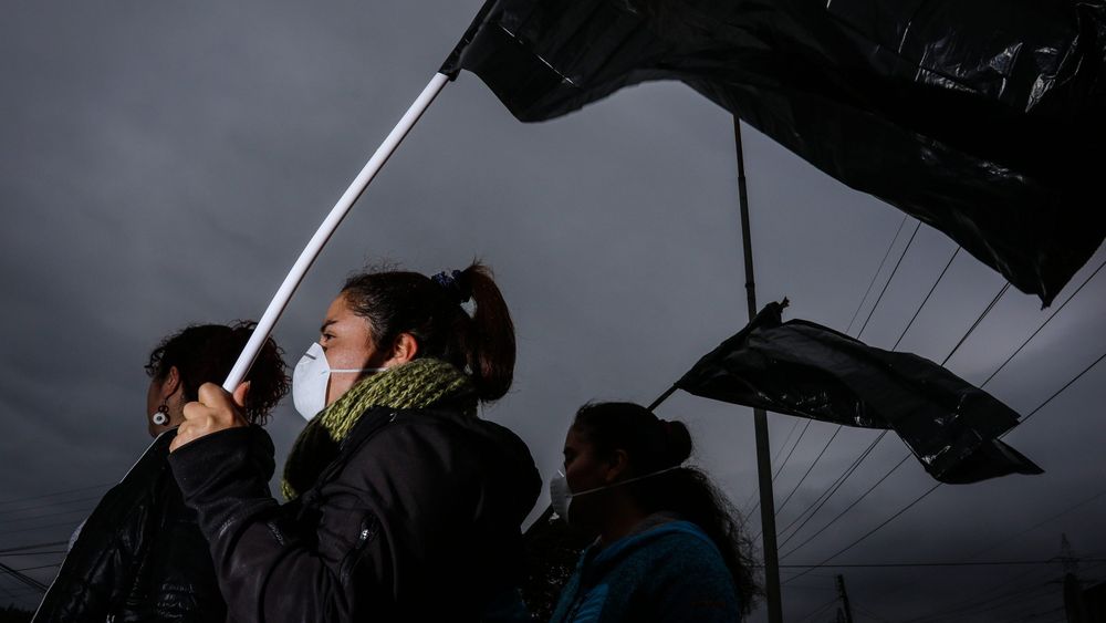 COP de Escazú: Región pone plazo de seis años para mejorar situación de defensores ambientales
