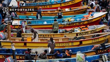 Ley de Pesca: Cómo la pesca artesanal podría terminar favoreciendo a la gran industria