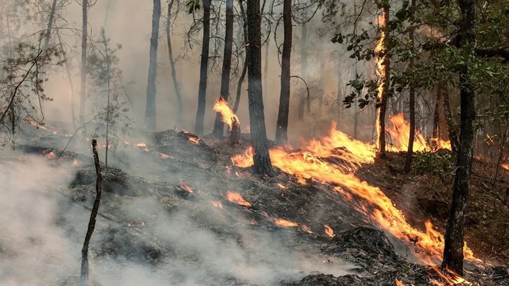 Imagen de los incendios forestales en Francia - Agencia EFE