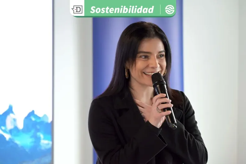 29639 diseno sin titulo 2026 02 04t104736.webp