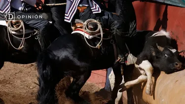 El Desconcierto | 22497 rodeo.webp