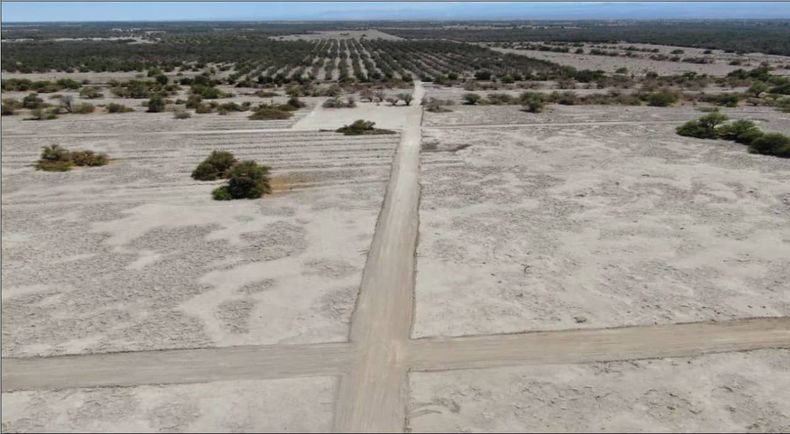 reserva nacional pampa tamarugal 1.jpeg
