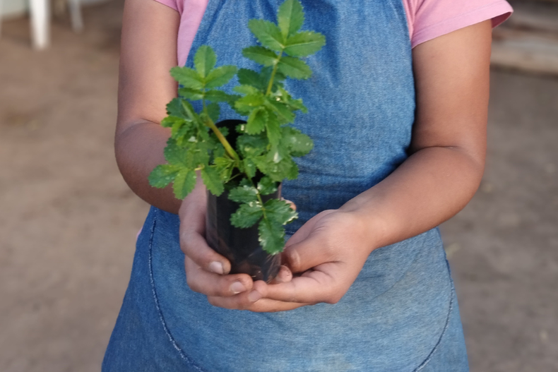 Accion Andina gana premio impulsado por Principe William de Inglaterra.png