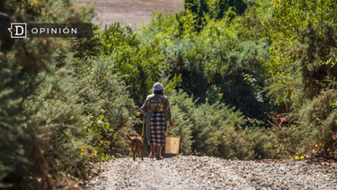 El Desconcierto | Mujer rural e1697487613147.png