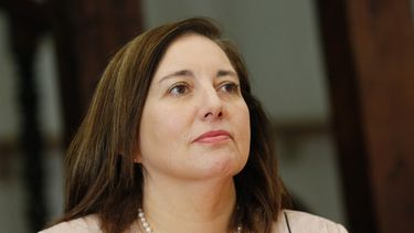 El inminente arribo de Vodanovic al Senado: Parlamentarios la postulan para reemplazar a Elizalde