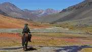 alcalde, vecinos y arrieros de putaendo piden proteccion oficial de valle donde vive el gato andino y acusan que minera intenta impedirlo