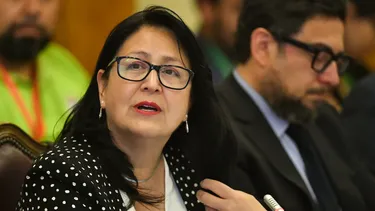 Defensoría de la Niñez interpone recurso de protección contra Dorothy Pérez por ilegalidad en solicitud de datos de jóvenes trans